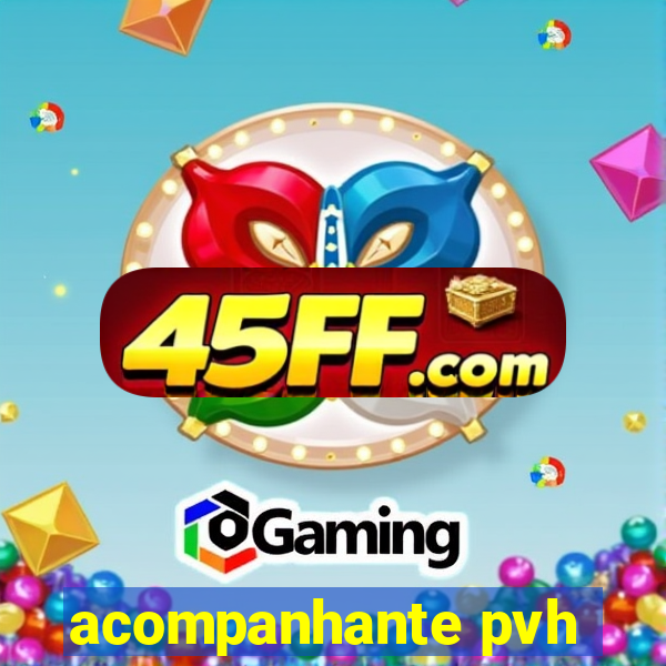 acompanhante pvh